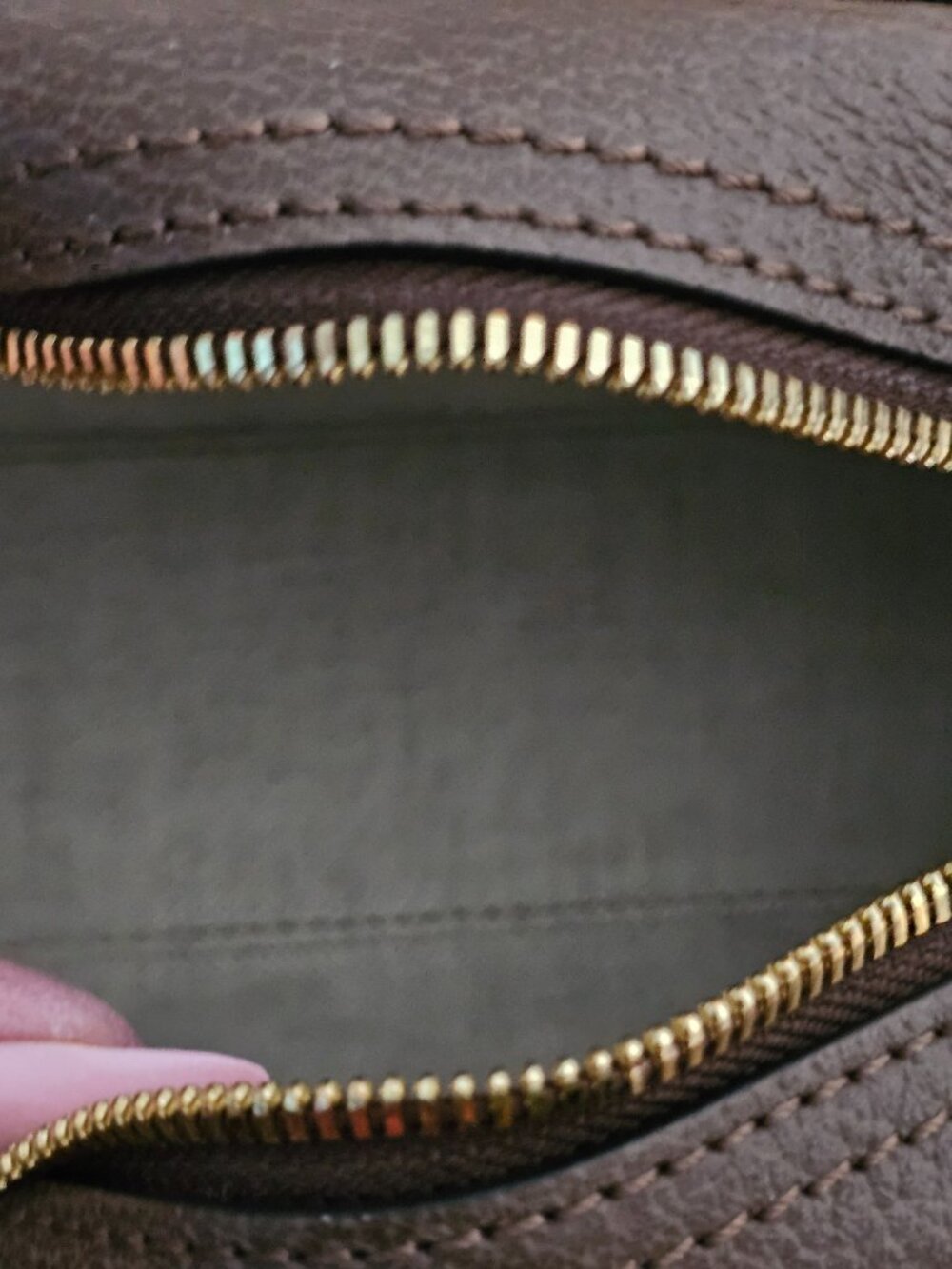 Gucci Mini - Picture 10 of 15